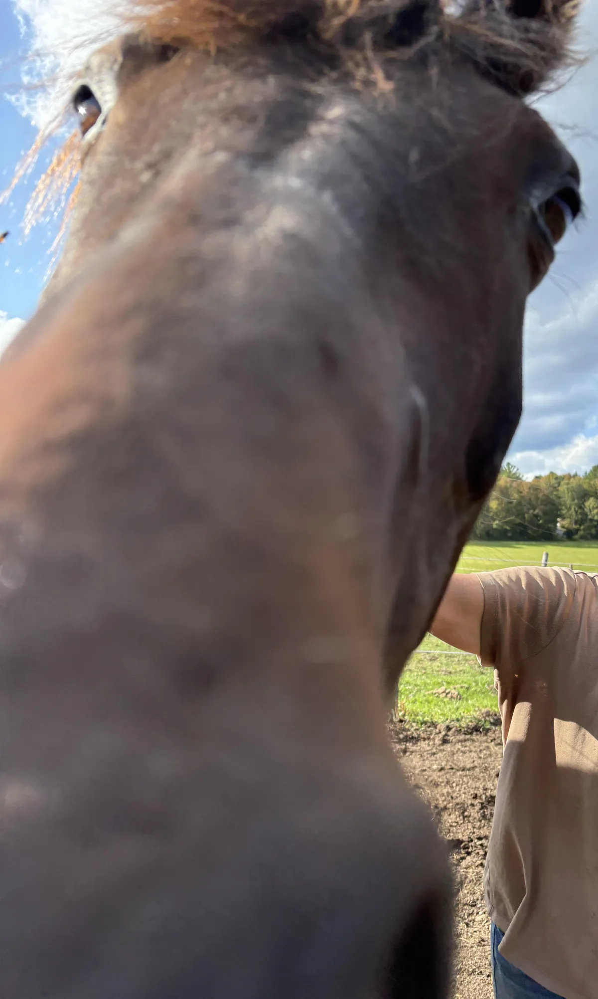 I want a picture. He wants to eat the camera