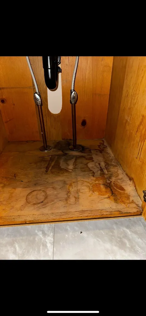 Moved into our “dream home” before closing… to discover it’s a moldy nightmare