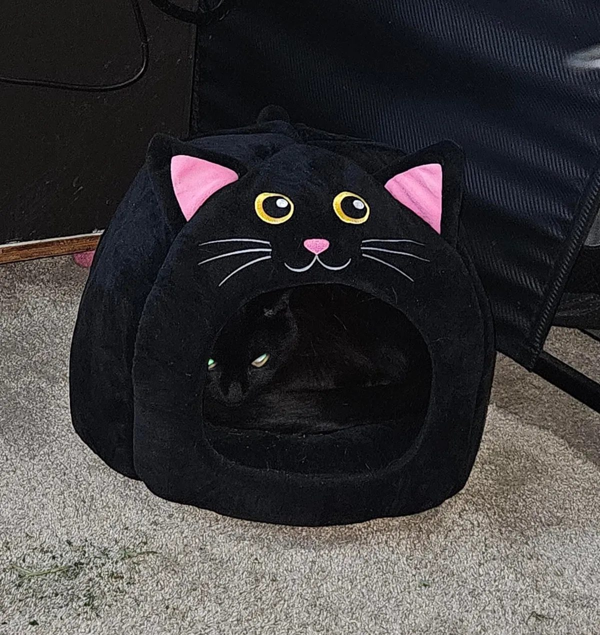 I rarely buy the gimmicky things, but...