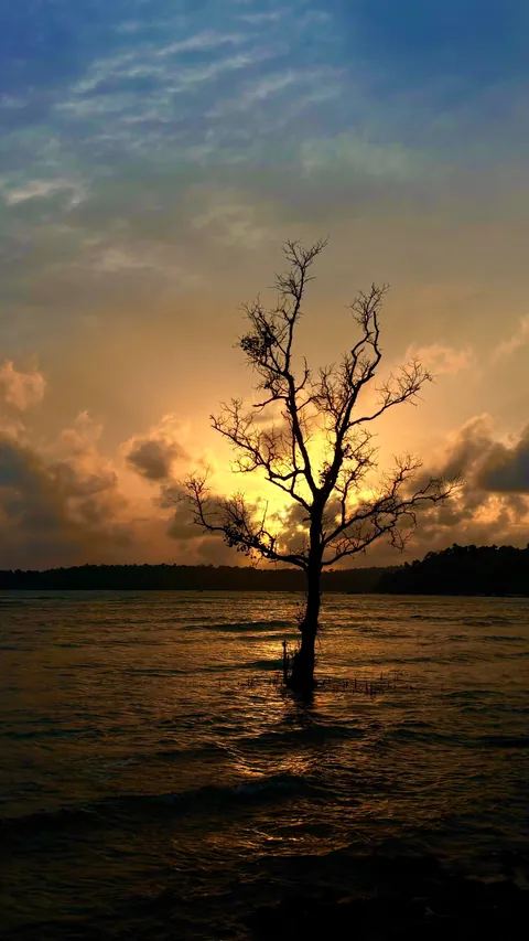 Some clicks from my recent visit to Andaman and Nicobar Islands, Union territory of India