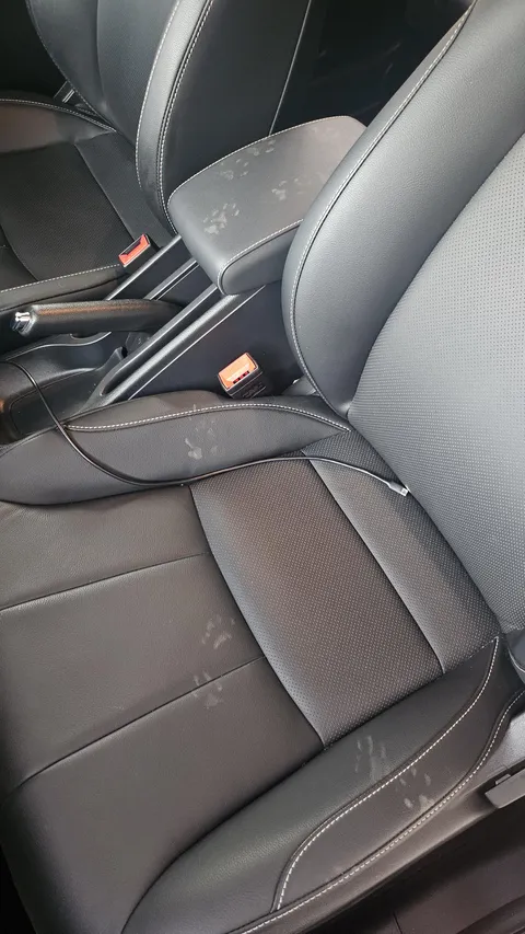 left my car door open for TWO SECONDS