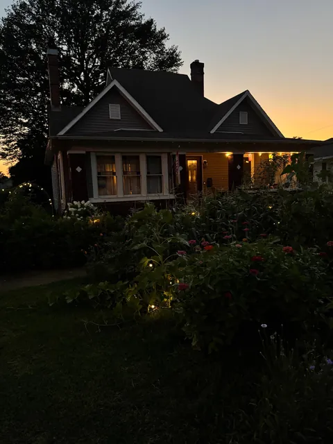 My front garden 🧚‍♀️🌱