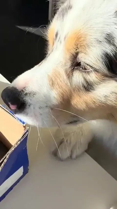 When Promise Found Trust