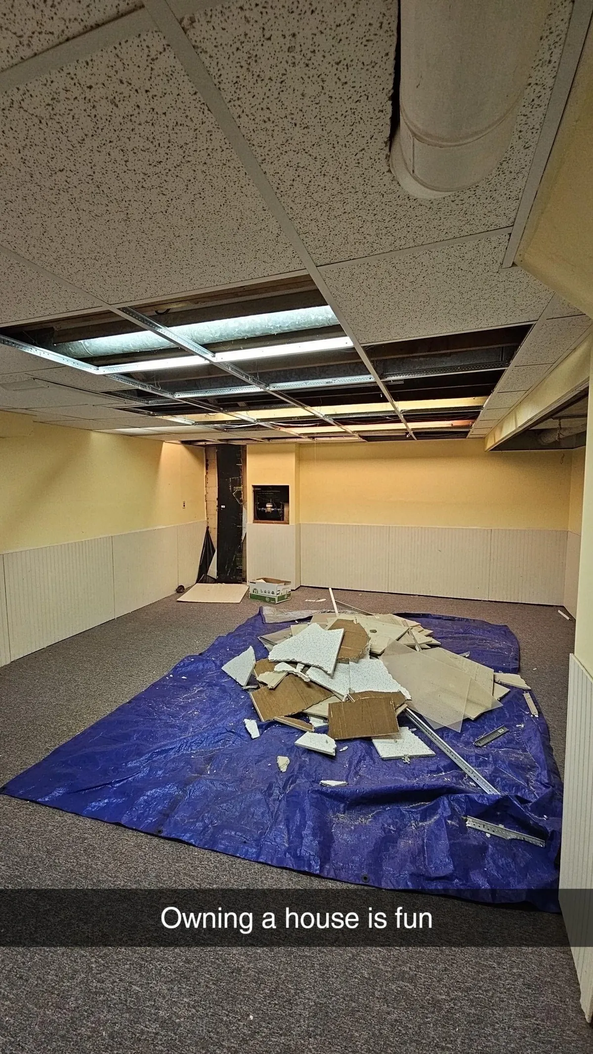 movie theater build in our basement what do you guys think?