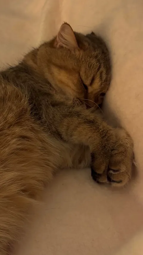 The only reason I still wake up every day