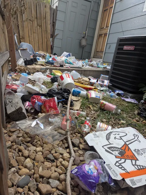 The current state of our neighbor's backyard