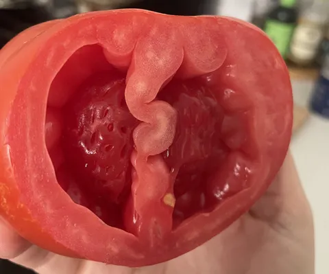 Looks like strawberries in my tomato
