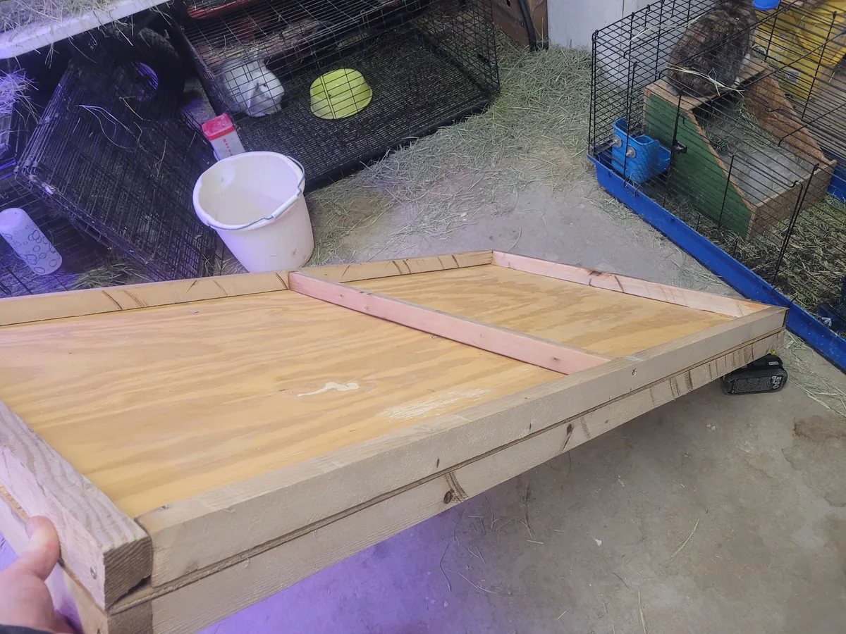 Sheepdog Too Big. Built A Bed To Match Dimensions To Our Queen. Used 100% Recycled Materials. £0 Spent. I Will Build/Install Drawer Tomorrow.