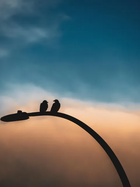 Getting Back Into Photography