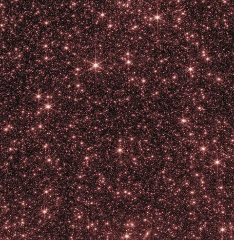 JWST image shows countless stars in the Large Magellanic Cloud (Credit: Go Webb!)