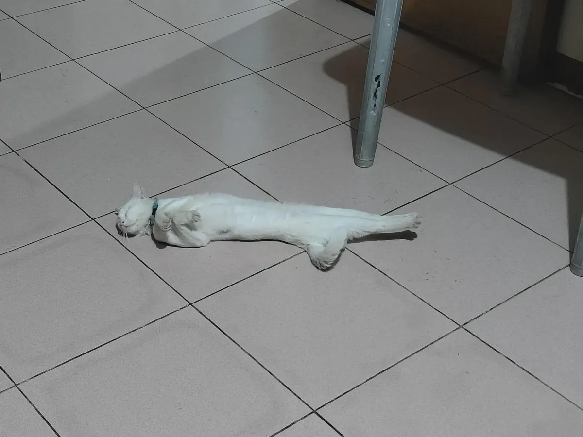 No care was given that day