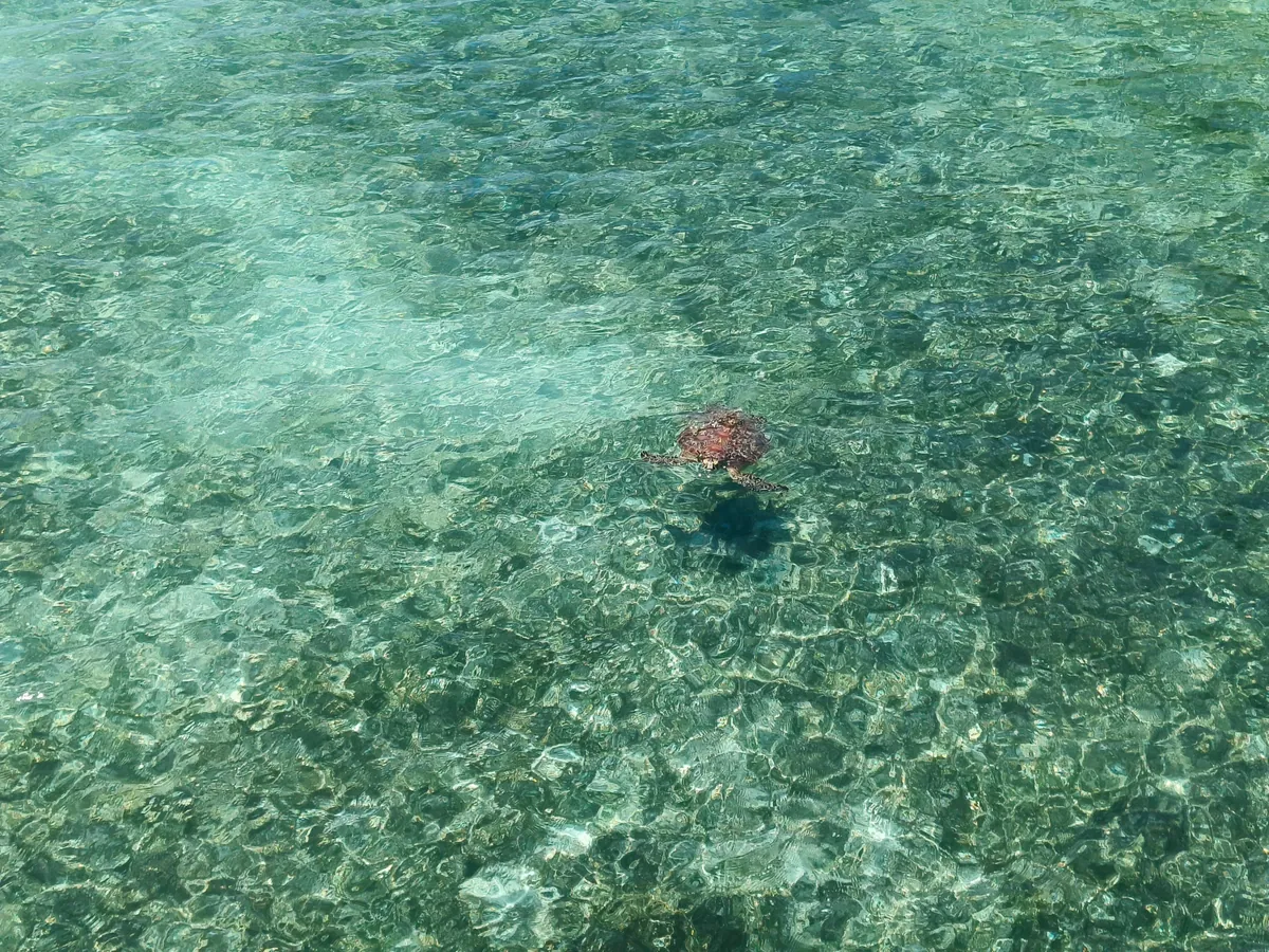 I spent a month travelling around Fiji 🇫🇯 and Australia 🇦🇺 (Sep - Oct 2025)