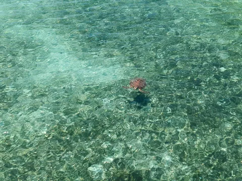 I spent a month travelling around Fiji 🇫🇯 and Australia 🇦🇺 (Sep - Oct 2025)