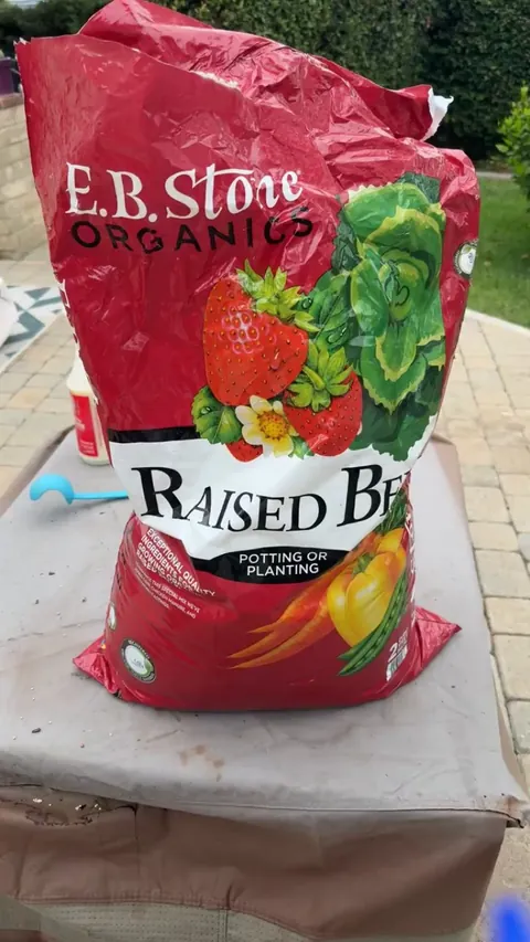 Potting soil is…. Alive?