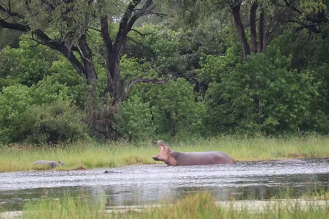 December in Botswana