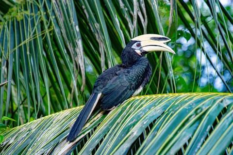 Two Weeks in Malaysia