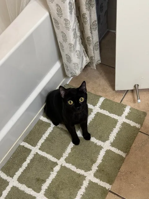 It’s my adopted baby’s first (estimated) birthday!