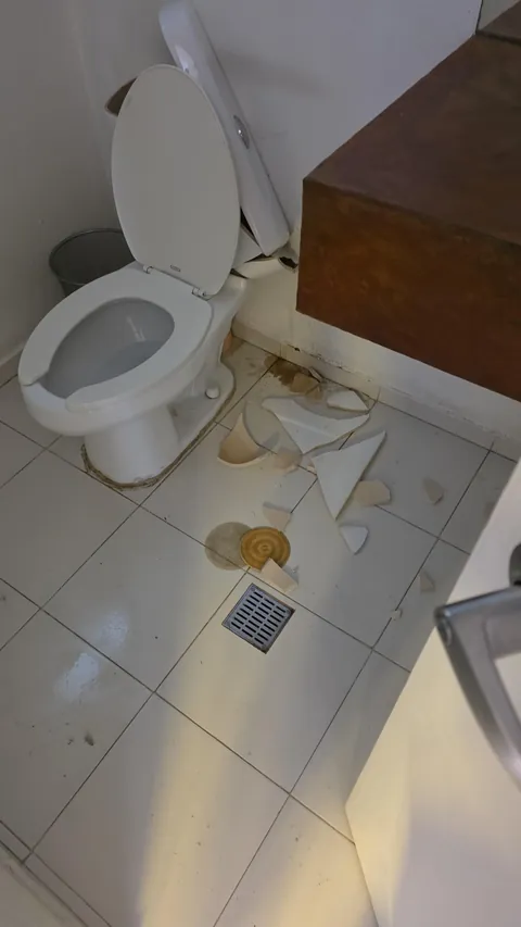 I sat in the toilet and it decided to just explode