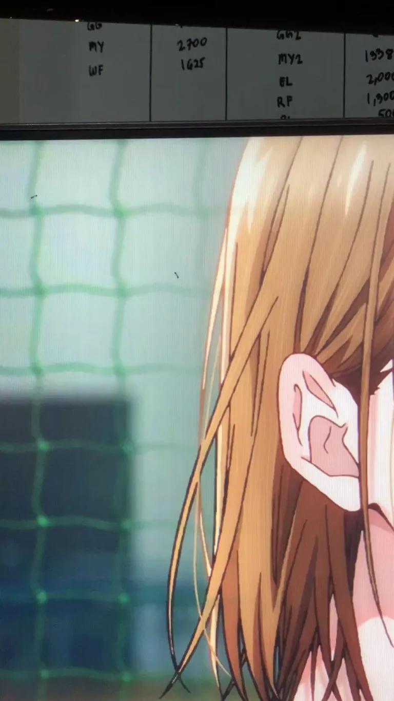 Ants inside my monitor.