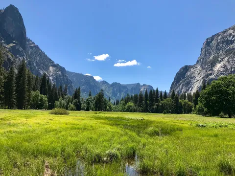 Amazing day in Yosemite yesterday