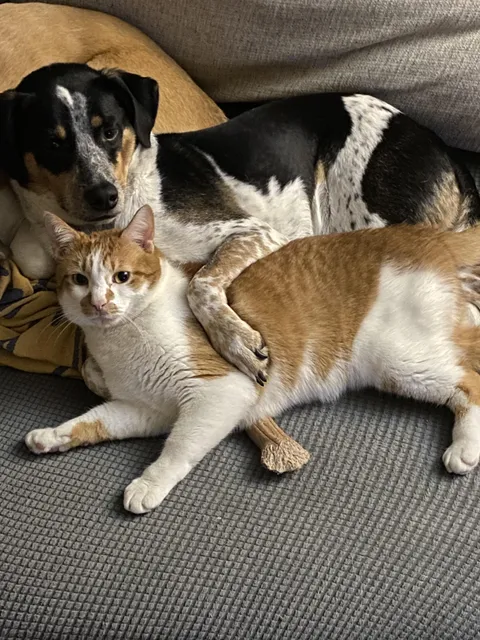 Ozzy (big spoon) and Gary (little spoon)