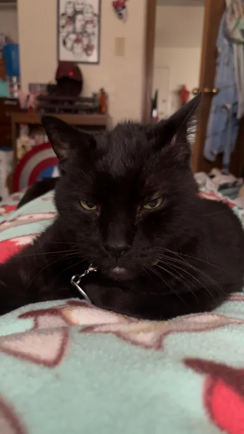 just wanted to share my 17 yr old boy today💜