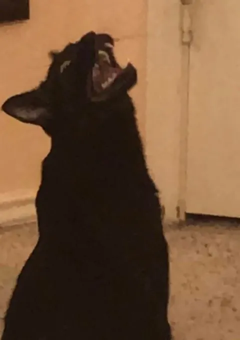 Stuart screams into nothingness, per usual.