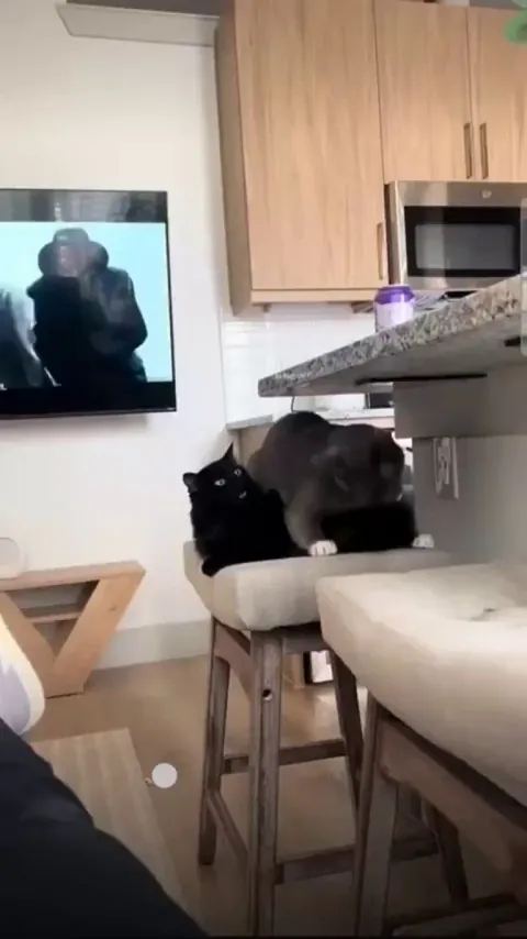 The Look On His Face