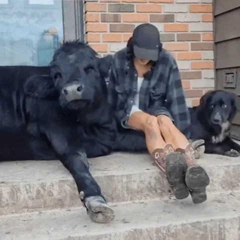 Some time to relax with the pups