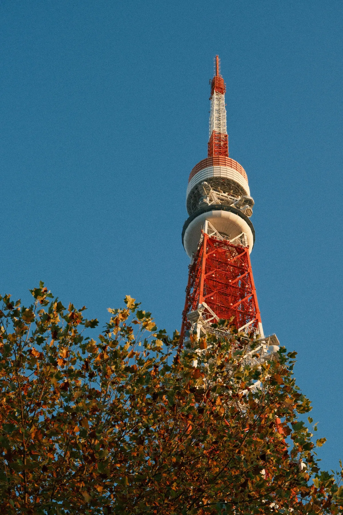 Our First 4 Days in Tokyo 🇯🇵