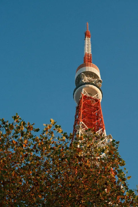 Our First 4 Days in Tokyo 🇯🇵