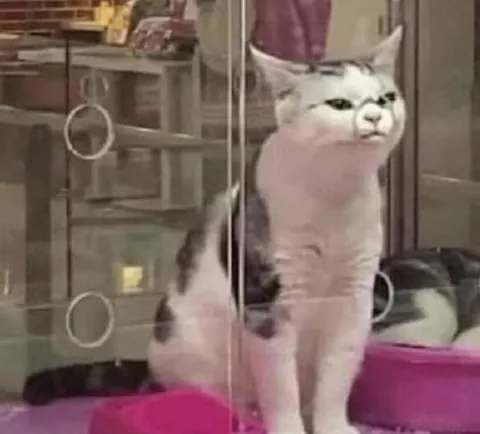 What became of your lamb, Clarice? You still wake up sometimes don’t you, hearing the screaming of the lambs.