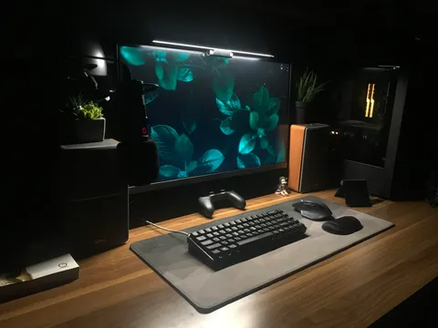 Single Monitor WFH Setup