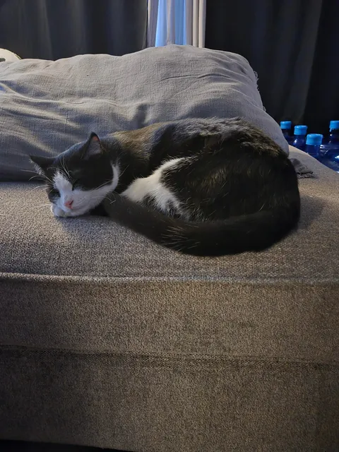 Today we let you go so you can thrive baby Remy.