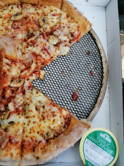 Papa John's left their oven pan in my pizza box.