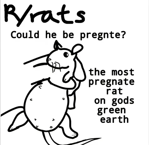 I legit spelt pregnant wrong on the second text box