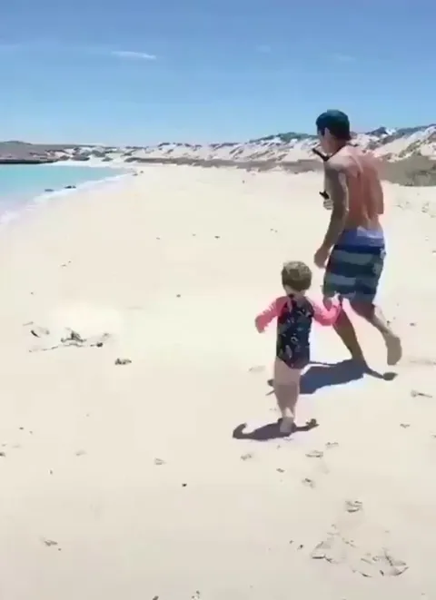 Helping a flipped turtle