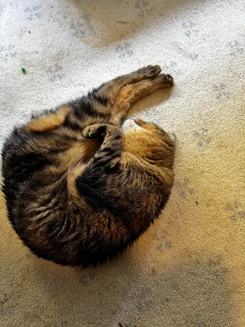 Leo turned 20 today! 🎉🎉🎉