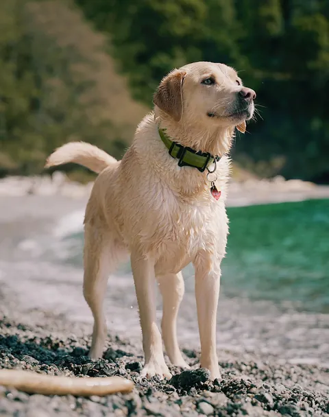 Swimming makes her SOO happy, she can barely contain herself sometimes