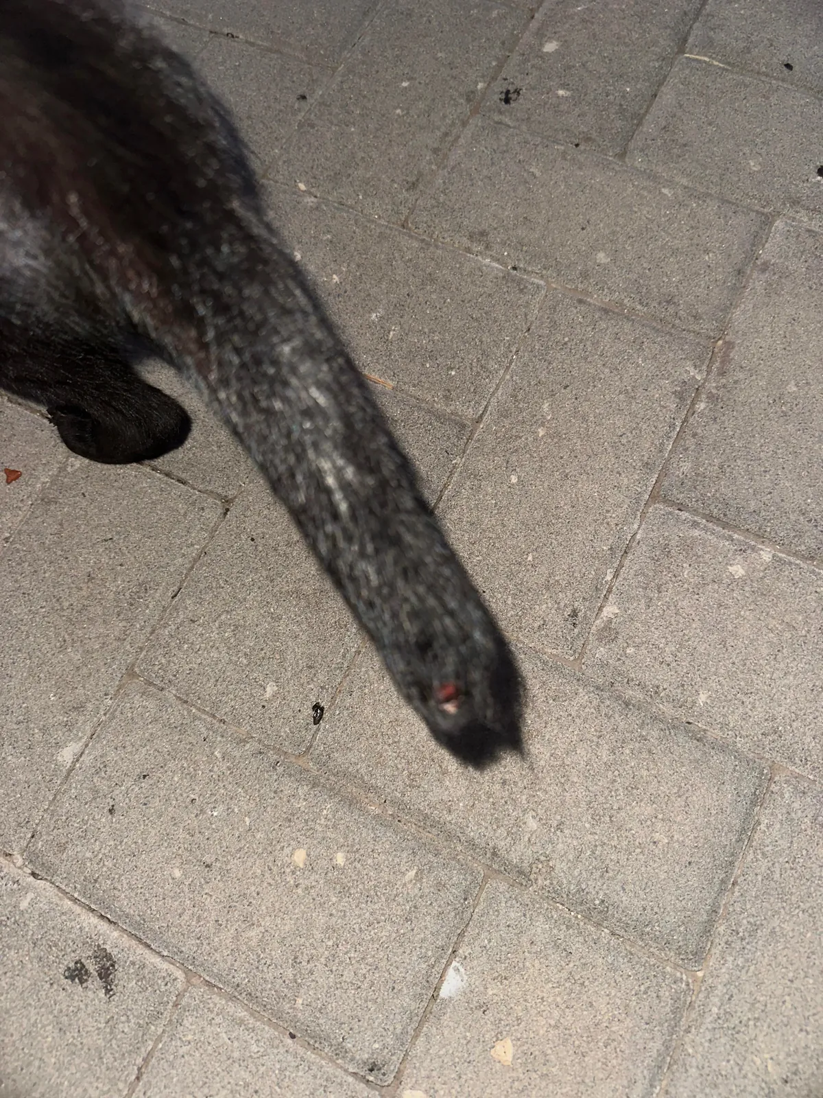 I think I really fucked up :(