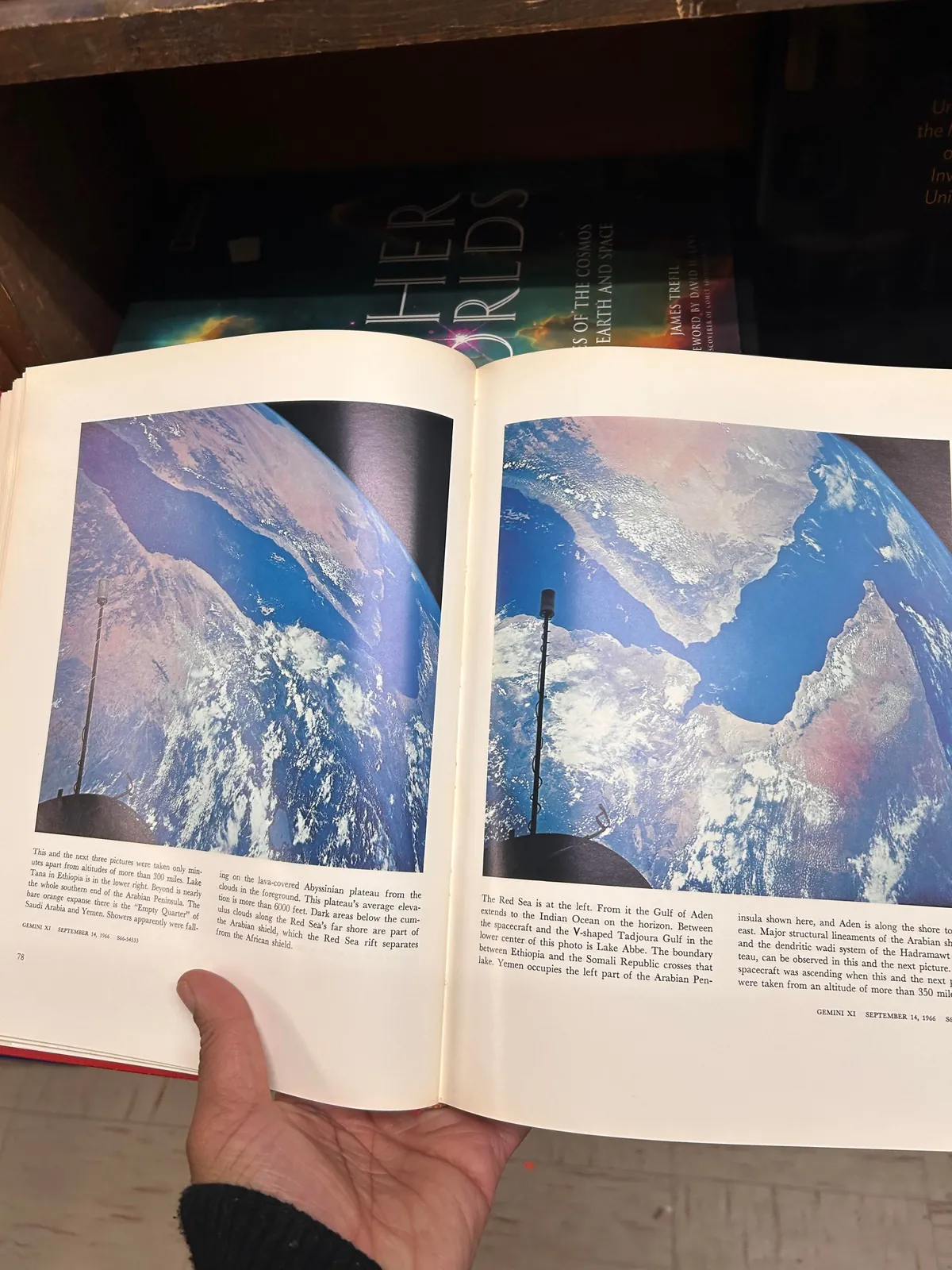 At the same bookstore right now. Found the sequel!