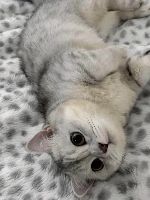 Let me introduce my sleeping buddy.