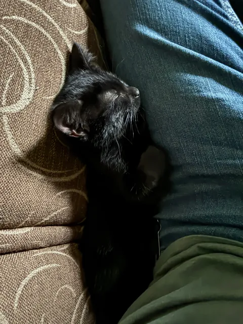 Just got him today :)