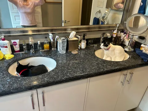 Good thing we have 2 sinks