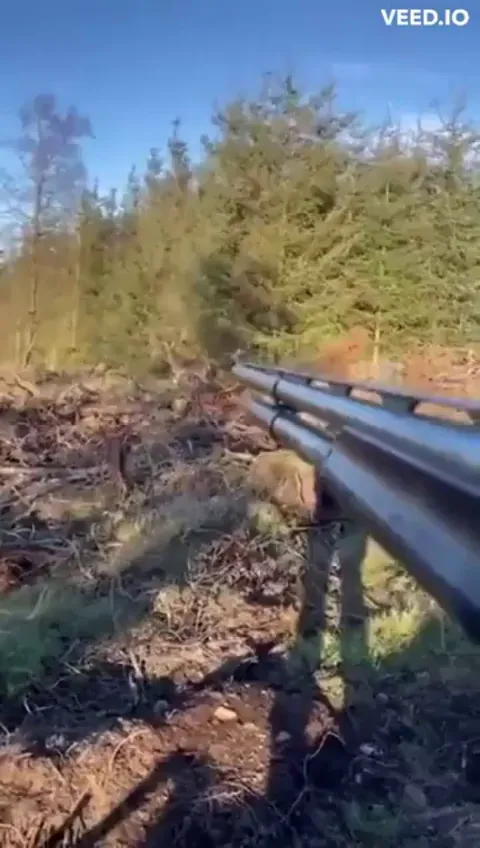 A hunter while aiming at a deer, pulls down his weapon, and she peacefully approaches him.