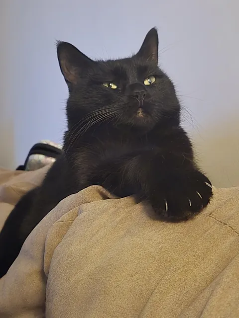 Plotting world domination