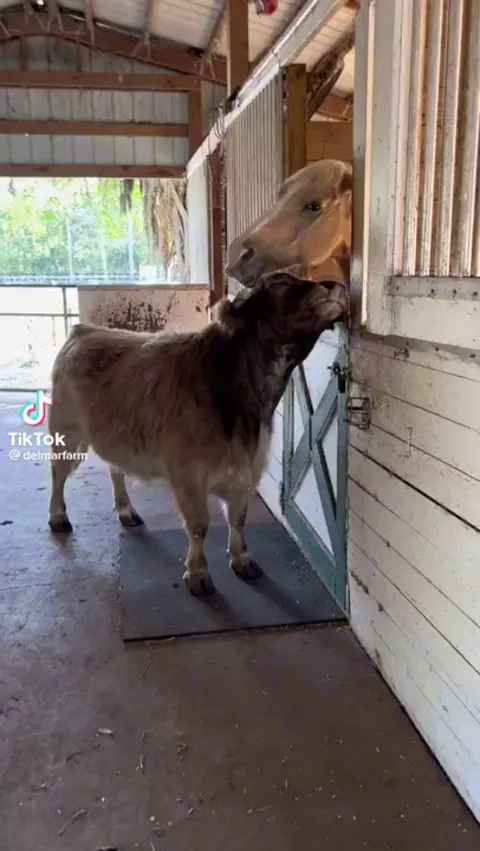 Some guys just can't take a hint