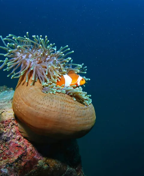 I went to Thailand and it was stunning.