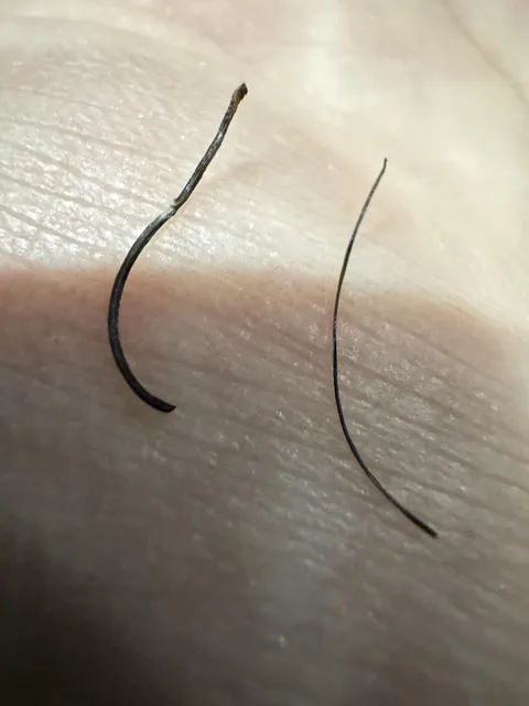 This super thick beard hair I pulled out tonight, with a normal one for scale.