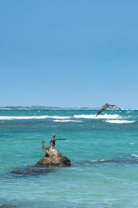 Puerto Rico Highlights from Our Family Trip 🇵🇷